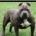 Dustin Hammett - @dustin_hammett - Instagram