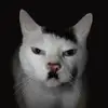 Dustin Hookway Jr - @dustin.hookway.jr7 - TikTok