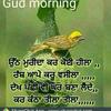 ch_faisal - @ddustin.jamison - TikTok