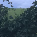 Dustin Keys - @dustin.keys - Instagram