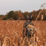 Dustin larson - @dustinlarson5 - Instagram