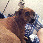 Dustin Larson - @dustinlarson90813 - Instagram
