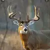 Dustin - @dustin_layne - TikTok