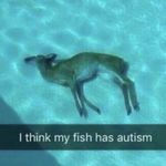 Dustin Layne - @615_dustin420 - Instagram