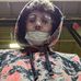 Dustin Leach - Facebook