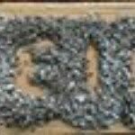 Dustin Mccarty - @dustyman042004 - Instagram