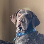 Dustin Meier - @the.dmeier - Instagram