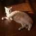 Dustin Monk - Facebook
