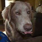 Dustin Morrow - @morrow5674 - Instagram