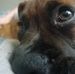 Dustin Ogden - Facebook