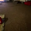 Silly distraction - @dustinott23 - TikTok