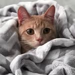 Dustin Pack - @dustinpack6 - Instagram