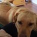 Dustin Boggs - Facebook