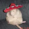 dustinpine83 - @dustinpine83 - TikTok