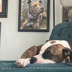 Dustin Pollock - @thereald_lock - Instagram
