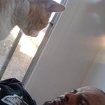 Dustin Ramey - @dhe_nigma - Instagram