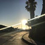 Dustin Rand - @dustino_randriguez - Instagram