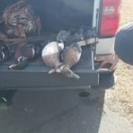 Dustin Rich - Facebook