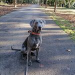 Dustin Richter - @dustin_richter_ - Instagram