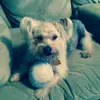 Dustin Ritchie - @2184785168 - TikTok
