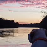 Dustin Roach - @seminoleboat07 - Instagram