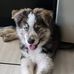 Dustin Robison - Facebook