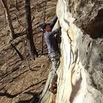 Dustin Roll - @rolldustin - Instagram