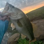 Dustin Sample - @dsample75_ - Instagram