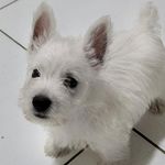 @dustin_samson_ - Instagram