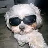 I_Follow_Back - @dustindrakesamson - TikTok