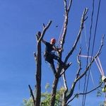 Dustin Sanchez - @kodabeesbear - Instagram