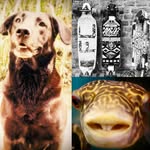 Dustin Schulz - @dustinschulz170203 - Instagram