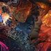 Dustin Seals - Facebook