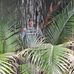 Dustin Seth - Facebook