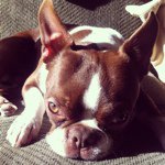 Dustin Smith - @not_your_dustpan - Instagram
