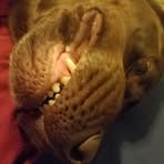 Dustin Smithson - Facebook