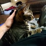 Dustin Strader - @l_need_new_friends_in_life - Instagram