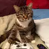 dustinsutters - @dustinsutters - TikTok