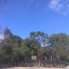 dustinteston - @dustinteston - TikTok