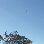 Dustin Truebenbach - @dustintruebenbach - Instagram