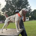 Dustin Tutor - @dustintutor - Instagram