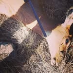 xx_dustinWALLACE_xx - @dustin_wallace_ - Instagram