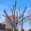 Dustin Webster - @dustin.webster13 - TikTok