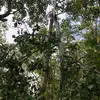 dustin_webster - @dusty_dustin2001 - TikTok