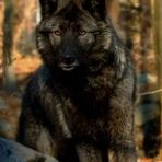Dustin Weigel - Facebook