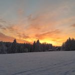 Dustin Weiß - @ich.halt_ja - Instagram