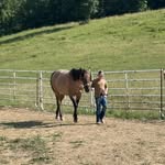 Dustin Whetstone - @dustinwhetstone2 - Instagram