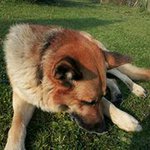 Dustin Wiemann - @dustin_wiemann - Instagram