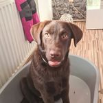 Dustin Witte - @witte.dustin - Instagram