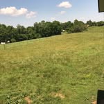 Dustin and Erika Casey - @thecaseyhomestead_ - Instagram